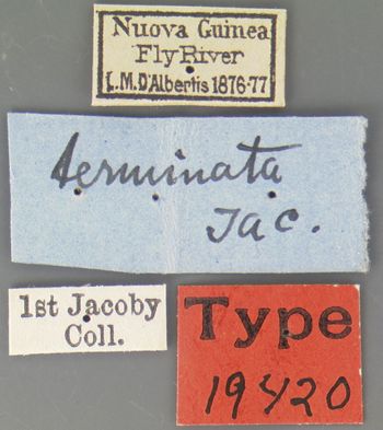 Media type: image; Entomology 19420   Aspect: labels
